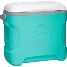 Изотермический контейнер Igloo Sportsman 30 28 л (0342234993650): Тип изотермический контейнер