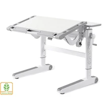 Детский стол Mealux Ergowood L (BD-810 TG/G): Тип Парта