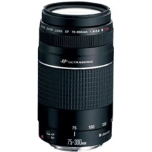 Объектив для фотоаппарата Canon EF 75-300mm f/4-5.6 III USM: Тип объектива Длиннофокусный