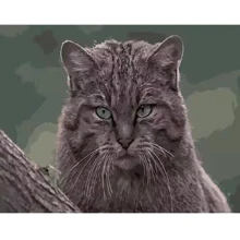 Картина по номерам Strateg Дикая кошка 40х50 см (DY177): Производитель Strateg