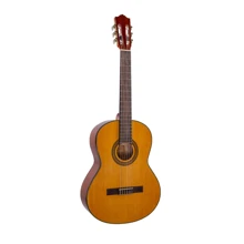 Класична гітара Alfabeto SAPELE CS39G + чохол: Тип Классическая гитара