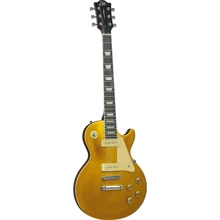 Електрогітара Eko Guitars VL-480 GT-V (Gold Sparkle): Тип Электрогитара