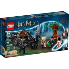 Конструктор LEGO Harry Potter Hogwarts Фестралы и карета Хогвартса (76400): Серия Harry Potter