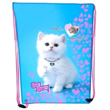 Сумка для взуття CLASS 2126C Cute kitten, 46х33 см: Стать Для девочек