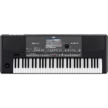 Аранжувальна станція KORG PA600: Тип Аранжировочные