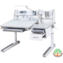 Детский стол Mealux Sherwood Plus W/G (арт. BD-830 W/G): Тип Парта