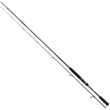 Спінінгові вудилище Daiwa Prorex AGS 2.4m 10-30gr: Тип вудлища спиннинговое