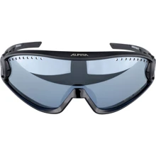 Солнцезащитные очки Alpina run овальные (4003692304902: Пол Унисекс