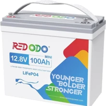 Redodo 12V-100Ah (Redodo-12V100): Тип Аккумулятор