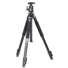 Benro A-500EX+BH-1M (A500FBH1): Тип штатива напольный