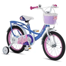 Велосипед детский RoyalBaby Chipmunk Darling 16 Official UA синий (CM16-6-blue): Тип 2х колесный велосипед