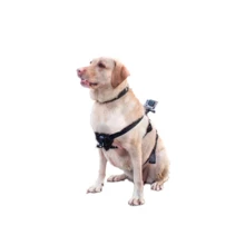 Крепление для собаки (Dog harness mount) для экшн камер Xiaomi YI, SJCam, GoPRO (XTGP186): Тип аксессуара Крепление для собак