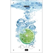 Водонагреватель газовый Zanussi GWH 10 Fonte Glass Lime: Вид Дымоходный