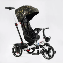 Велосипед 3-х колесный BestTrike Oscar (6390 – 15-170): Тип Велосипед-коляска