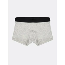 Труси H & M 5895200 110-116 см сірі: Тип Труси