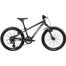 Велосипед Orbea MX 20 XC 22 M00420I7 20 Purple-Mint (M004): Диаметр колес, дюймов 20