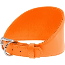 Ошейник WAUDOG Glamour для борзых собак, без украшений 50 мм 23-27 см оранжевый (34644): Производитель WAUDOG