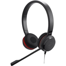 Наушники Jabra Evolve 20SE Stereo UC USB-C Black (4999-829-489): Тип конструкции накладные