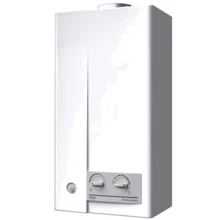 Водонагреватель газовый Electrolux GWH 285 ERN NanoPro: Вид Дымоходный