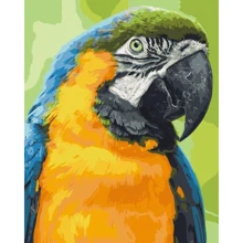 Картина за номерами Art Craft Папуга Ара 40х50 см (11643-AC): Виробник Art Craft