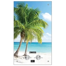 Водонагреватель газовый Zanussi GWH 10 Fonte Glass Paradiso: Вид Дымоходный
