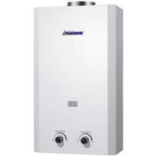 Водонагреватель газовый Thermex ETALON A 10: Вид Дымоходный