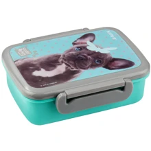Ланчбокс Kite Studio Pets SP19-160: Кількість відділень 1