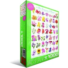 Пазл EuroGraphics "Язык цветов", 1000 элементов (6000-0579): Производитель EuroGraphics