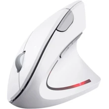 Мышь Trust Verto Ergonomic Wireless White (25132): Интерфейс подключения Wireless, USB