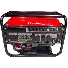 Бензиновий генератор Excalibur AG3800: Тип електростанції бензиновый