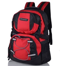 Рюкзак для ноутбуков 15.4 " Onepolar красный (W1312-red): Пол Унисекс