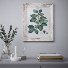 Рамка ІКЕА PLOMMONTRÄD 30х40 см (805.595.41): Виробник Ikea