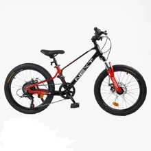 Детский спортивный велосипед Corso Next 20" дюймов (NX-20319): Тип 2х колесный велосипед