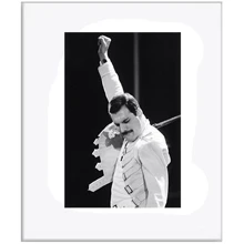Картина и коллаж Картина Salvadori Arte Freddy Mercury 31х26 см (SE301W4532*): undefined undefined