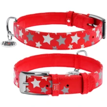 Ошейник Collar Glamour с узором Звездочка Светящийся с QR паспортом 38-49 см 25 мм красный (4823089301341): Производитель Collar
