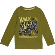 Свитшот H&M 3168372 110-116 см оливковый: Тип Свитшоты