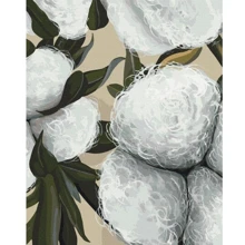 Картина за номерами Brushme Бавовна ©Yana Biluhina 40х50 см (BS54064): Виробник Brushme