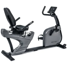 Велотренажер Toorx Recumbent Bike BRXR 300 ERGO (BRX-R300ERGO) (930570): Тип нагрузки Электромагнитная