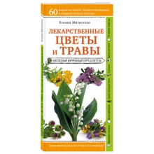 Лікарські квіти і трави. Наочний кишеньковий визначник: Виробник Ексмо