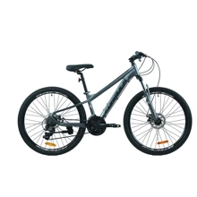 Велосипед Formula KOZAK AM DD ST 26" рама 17.5" с крылом Pl 2024 (темно-серебристый (м)) (OPS-FR-26-733): Материал рамы Сталь
