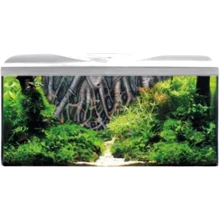 Аквариум Amtra System 80 Led White 85 л с фильтром, помпой и нагревателем Фон корни 80x32x48 см (A2001366): Производитель Amtra