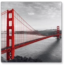 Весы напольные Beurer GS 215 San Francisco: Тип Электронные