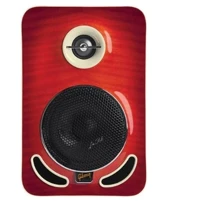Студийный монитор LP4C GIBSON LES PAUL MONITORS LP4C: Тип Ближнего поля