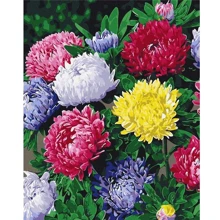 Картина за номерами Brushme Різнокольорові айстри 40х50 см (BS54120): Виробник Brushme