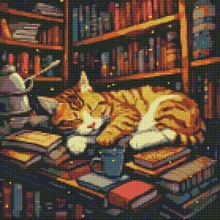 Алмазная мозаика Идейка Пушистый книголюб ©art_selena_ua AMO7648 40х40 см: Производитель Идейка