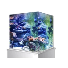 Аквариум Amtra Nanoscaping 35 30 л 35x28x30 см (A2001995): Производитель Amtra