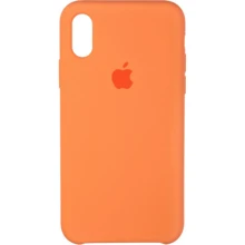 Чохол для iPhone TPU Silicone Case Papaya for iPhone Xs Max: Колір помаранчевий