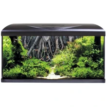 Аквариум Amtra System 80 Led Black 85 л с фильтром, помпой и нагревателем Фон корни 80x32x48 см (A2001035): Производитель Amtra