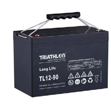 Triathlon AGM Long Life Batteries TL12-90 (91010193): Тип Аккумулятор