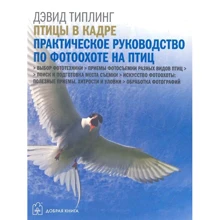 Девід Тіплінг: Птахи в кадрі. Практичний посібник з фотополюванні на птахів: Виробник добра книга